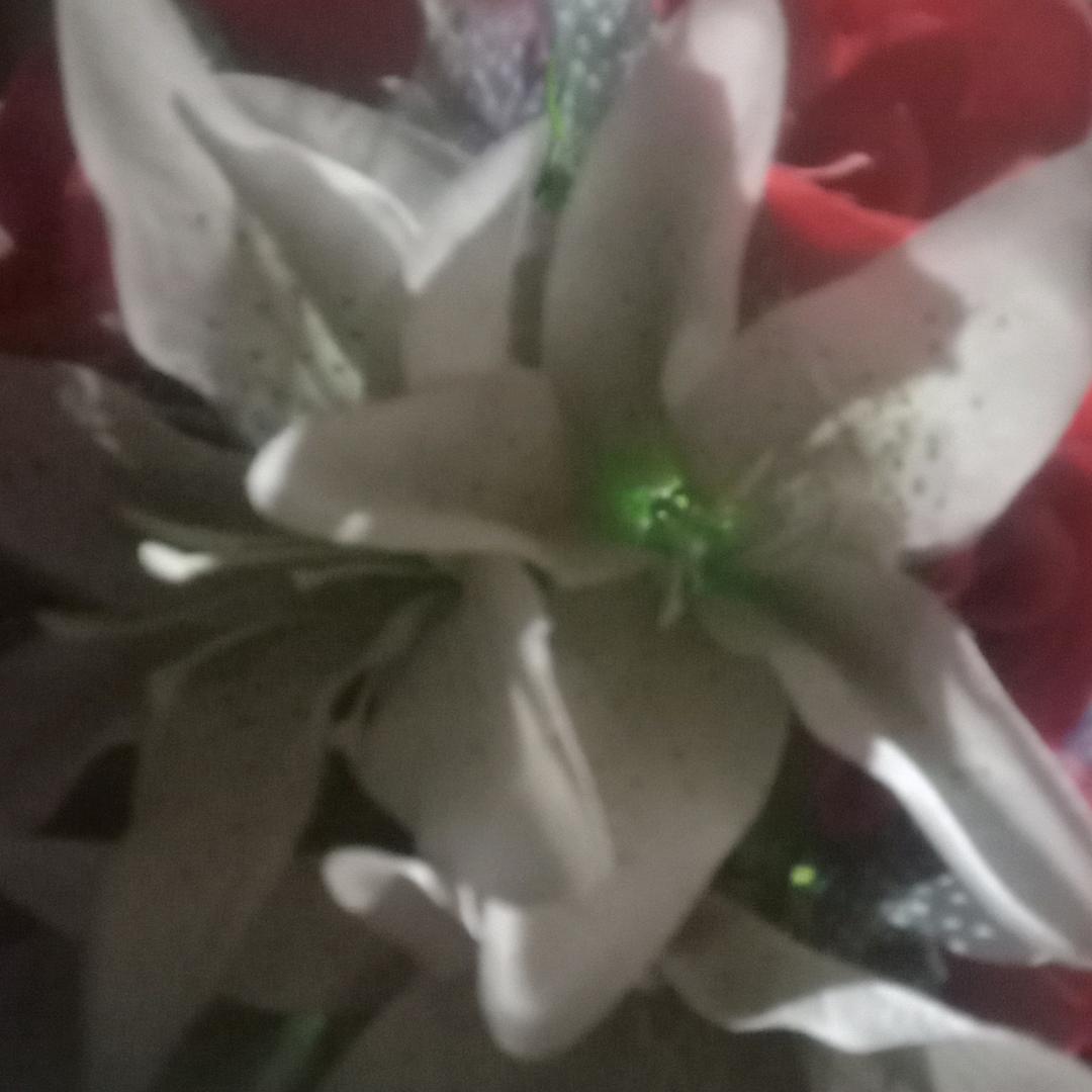 我是勤劳的小蜜蜂，不管春夏秋冬，都在忙碌