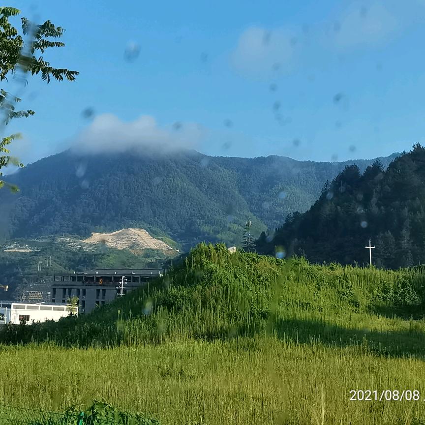 王亚