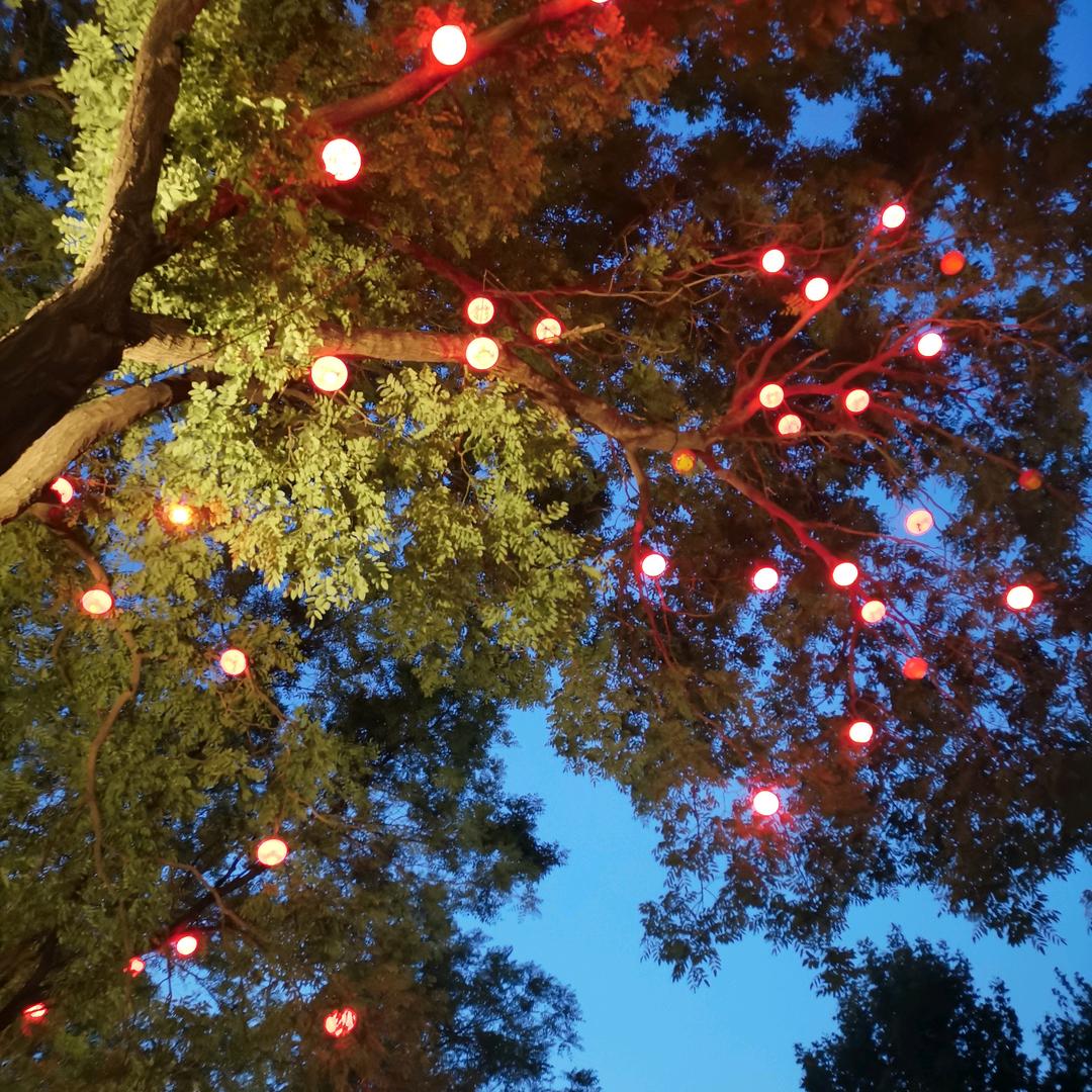 王稳鉴—  关必回