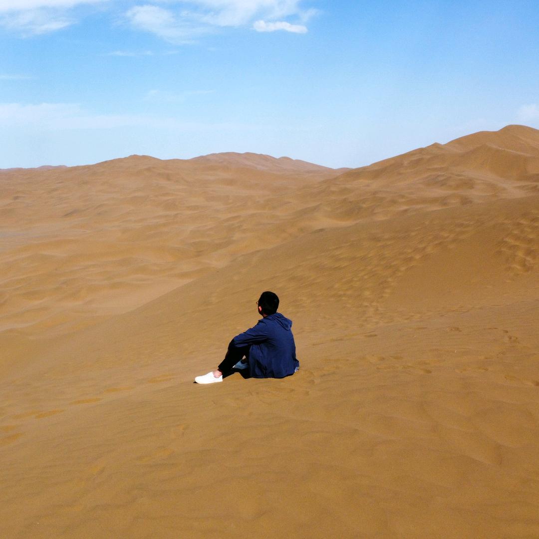 捷诚纺织～乔木