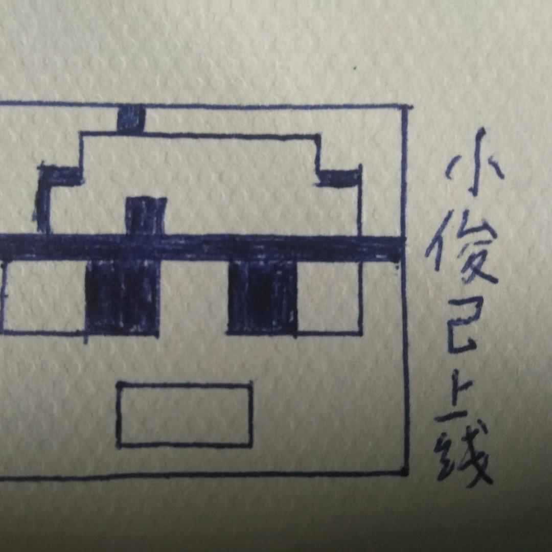 退休后的小主播