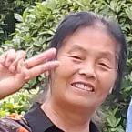 王珍禄