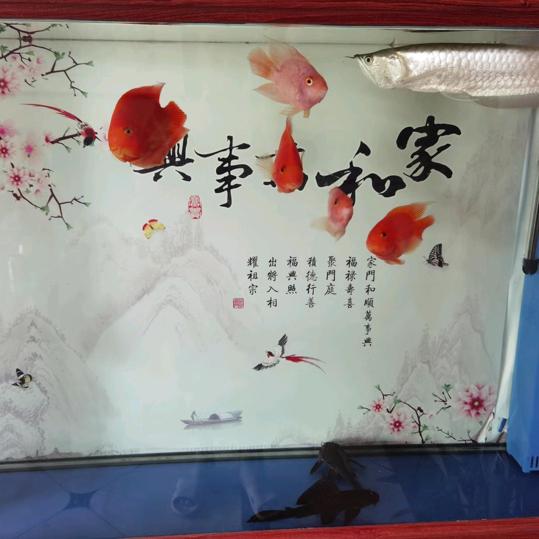 胡彦滨