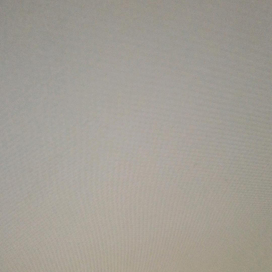 摸鱼