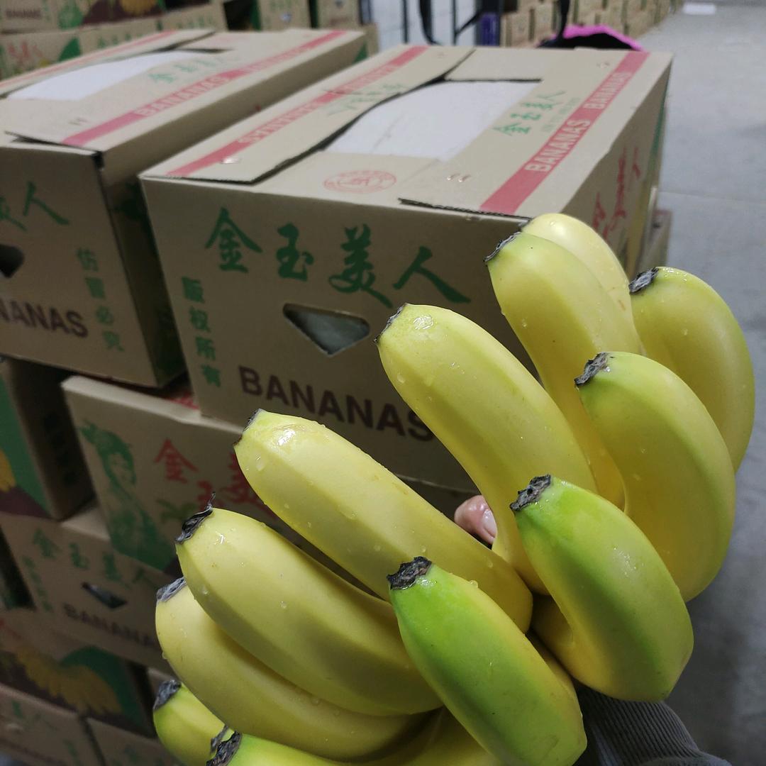 陆增锐