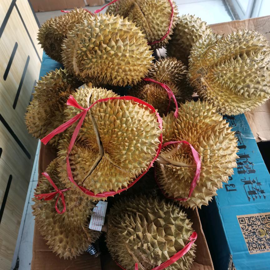 一品果业（县委北大门）