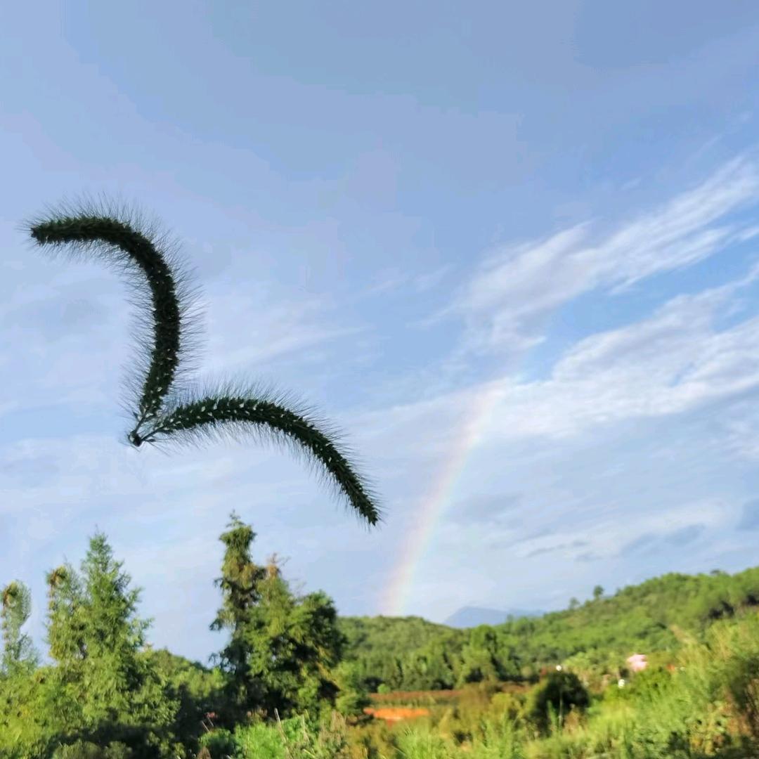 我们不再是从前