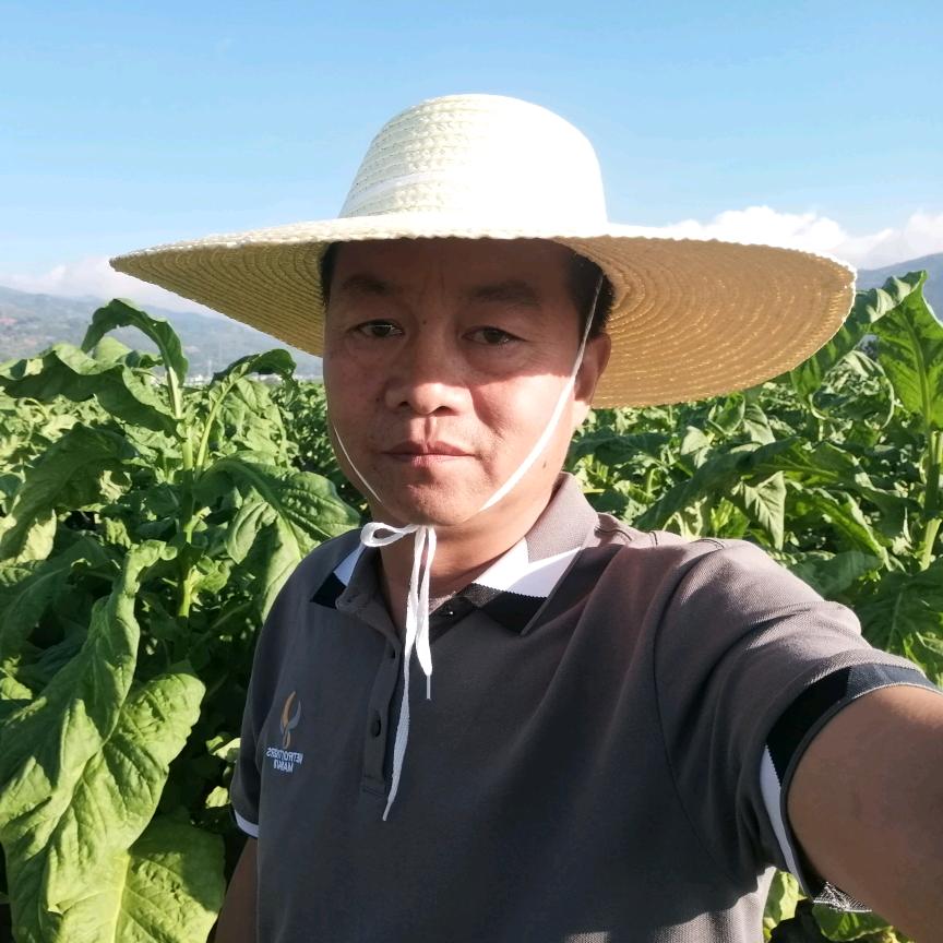作丰客：植保罗老师