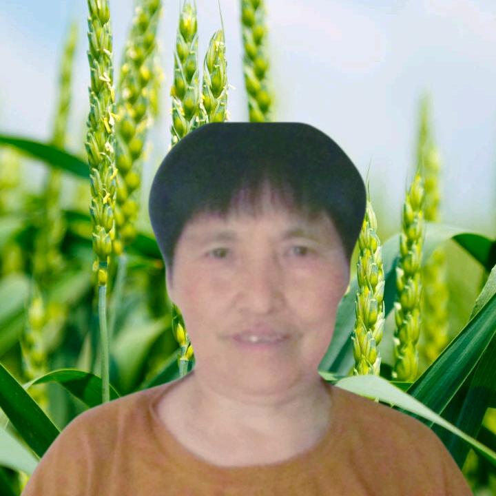 兰姐.