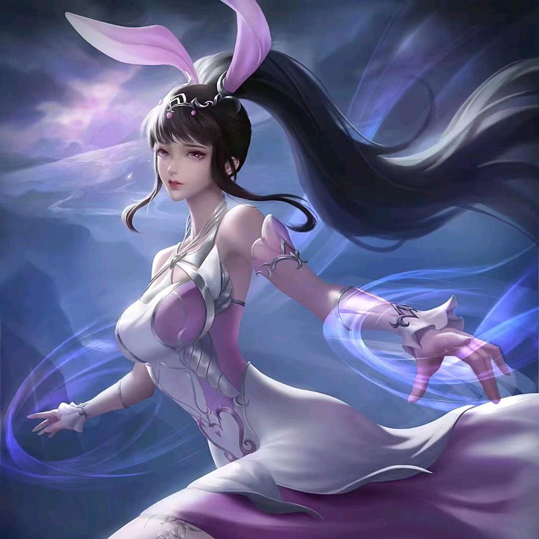 兔兔的家