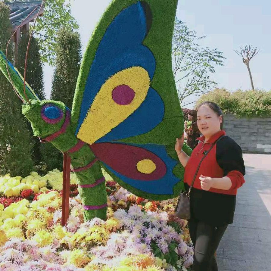 梅梅