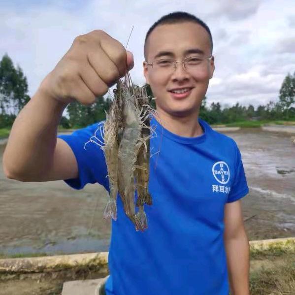 逮虾户杰哥