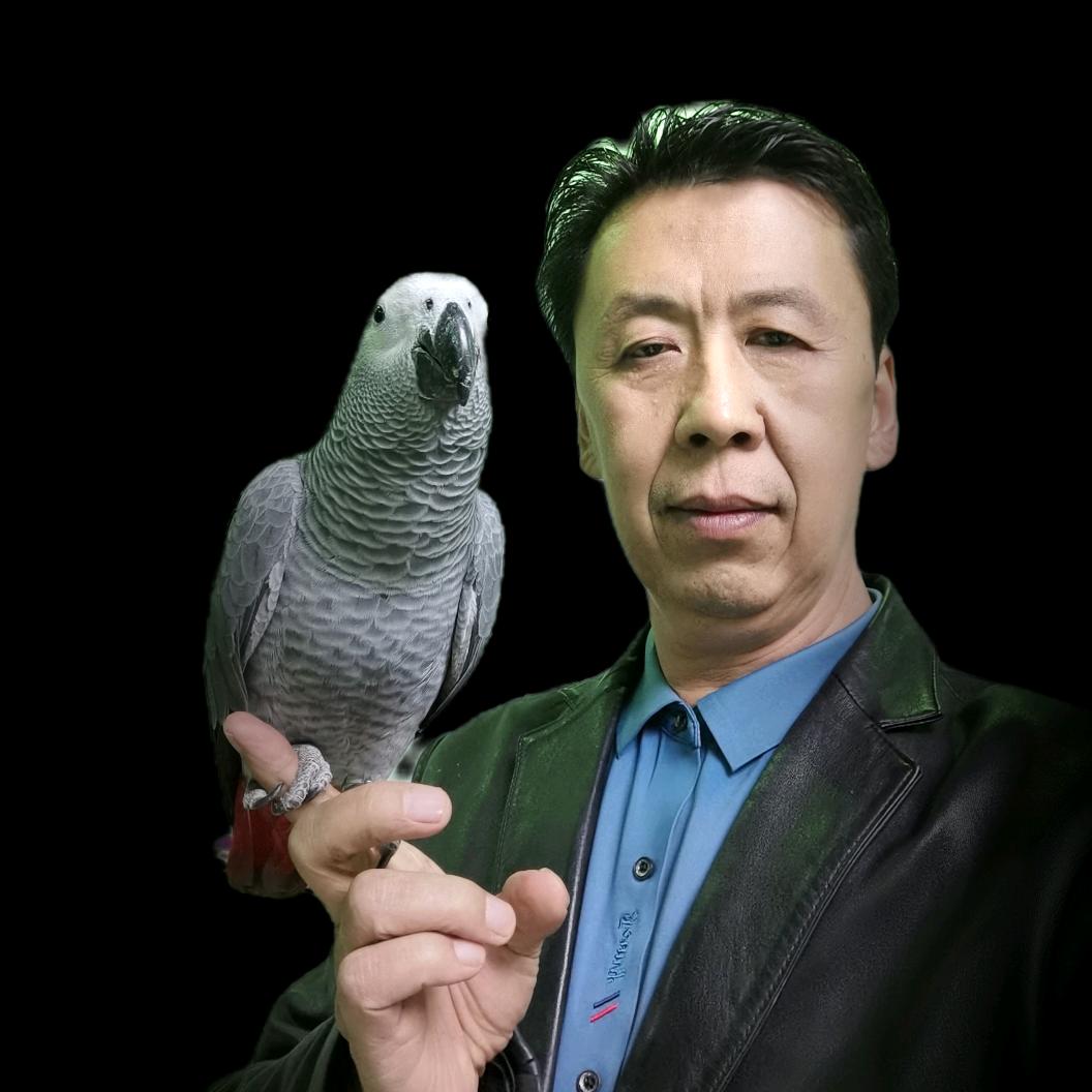 《落叶》