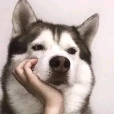 靈