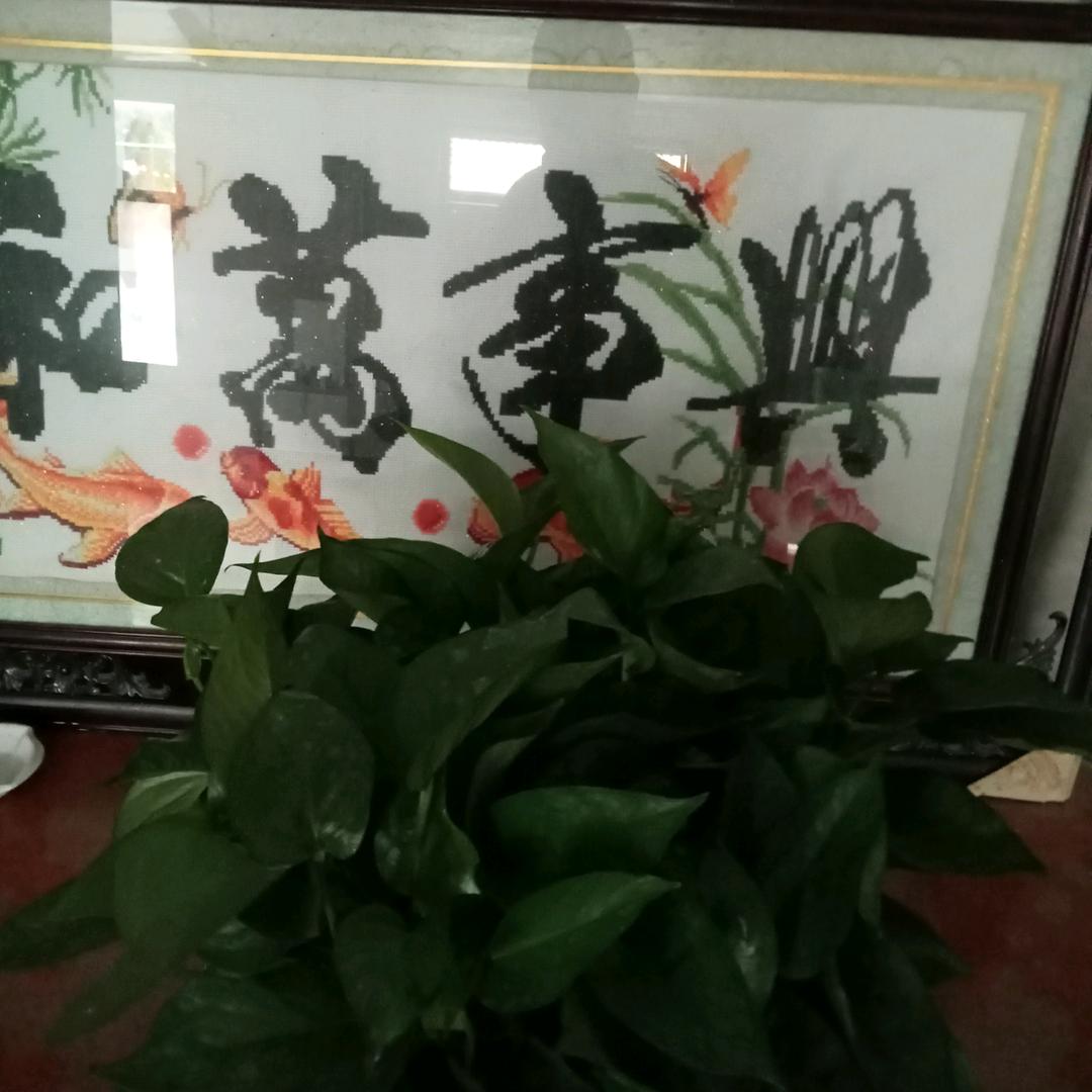 笑看人生～