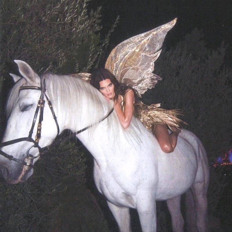 出门不穿苦茶子