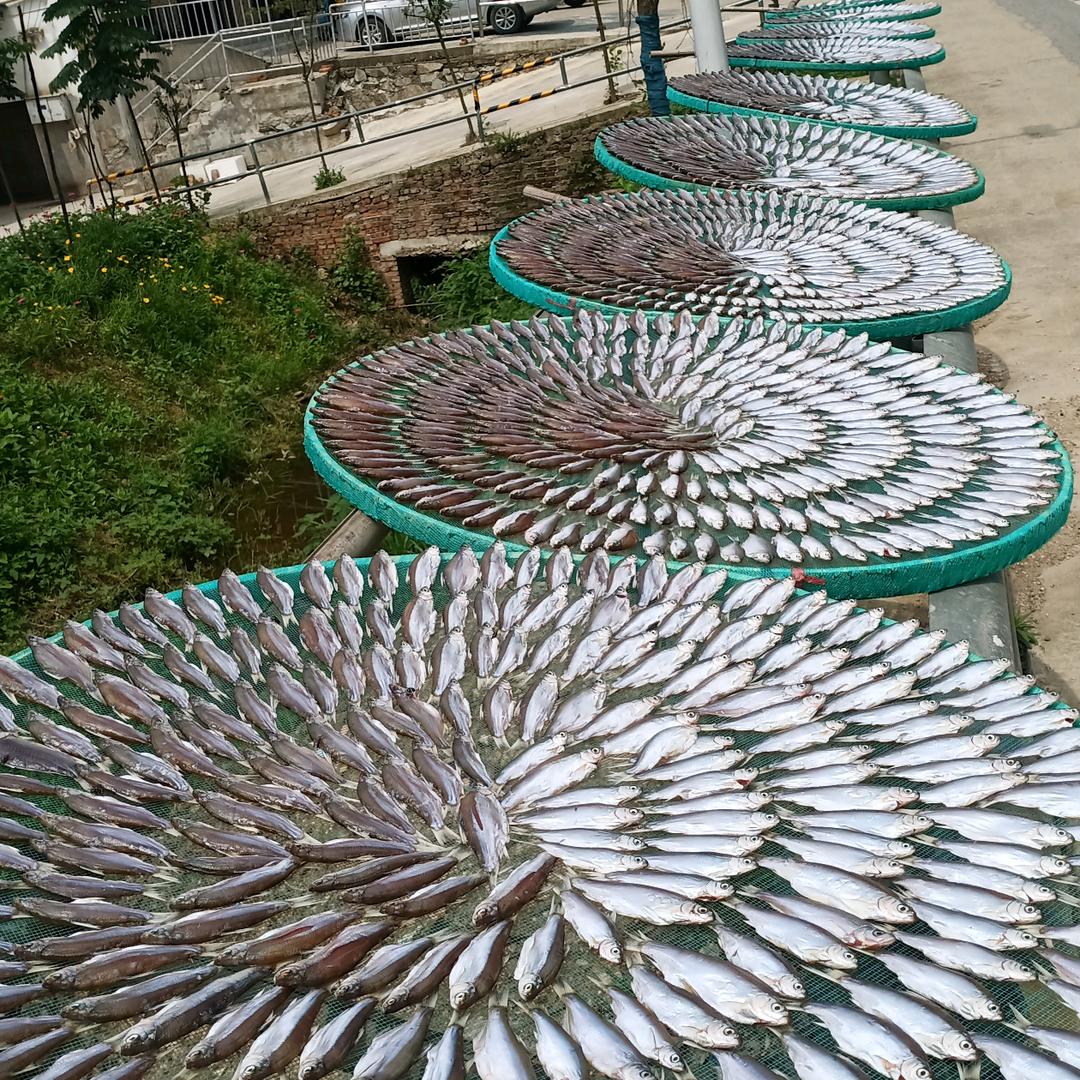 赵记风干鱼