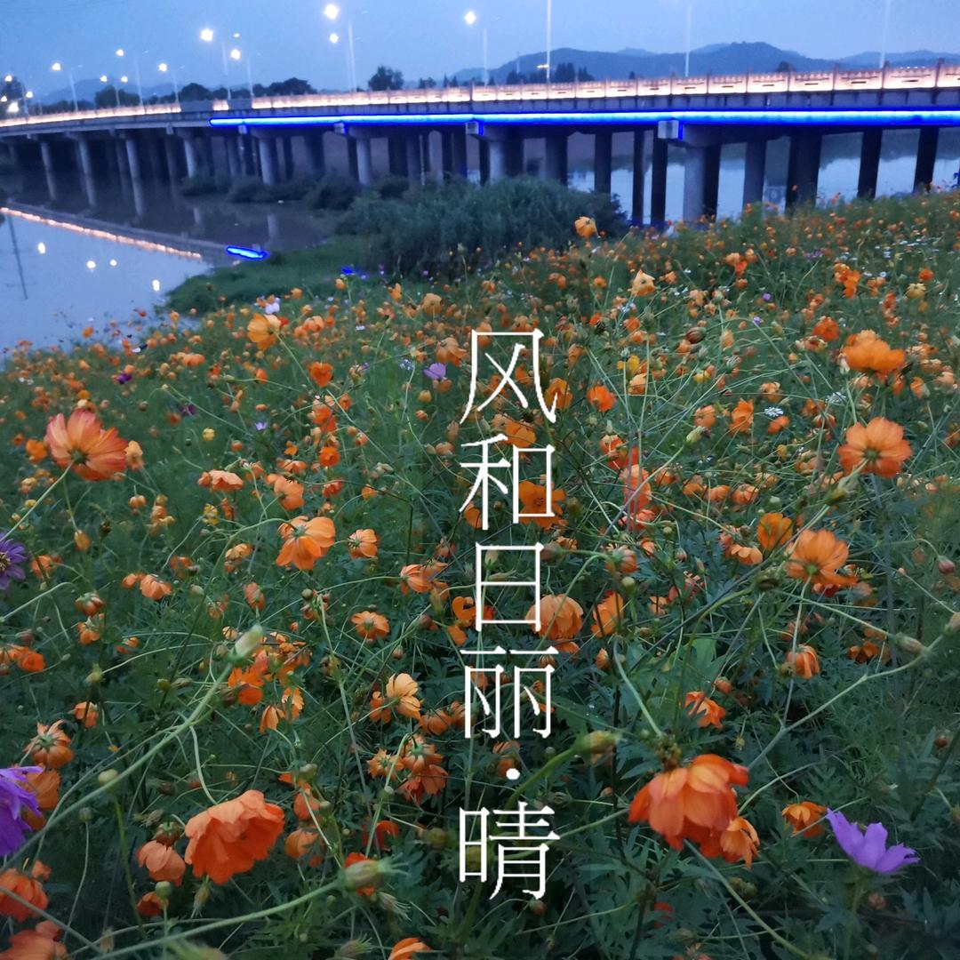 牵着蚂蚁去散步