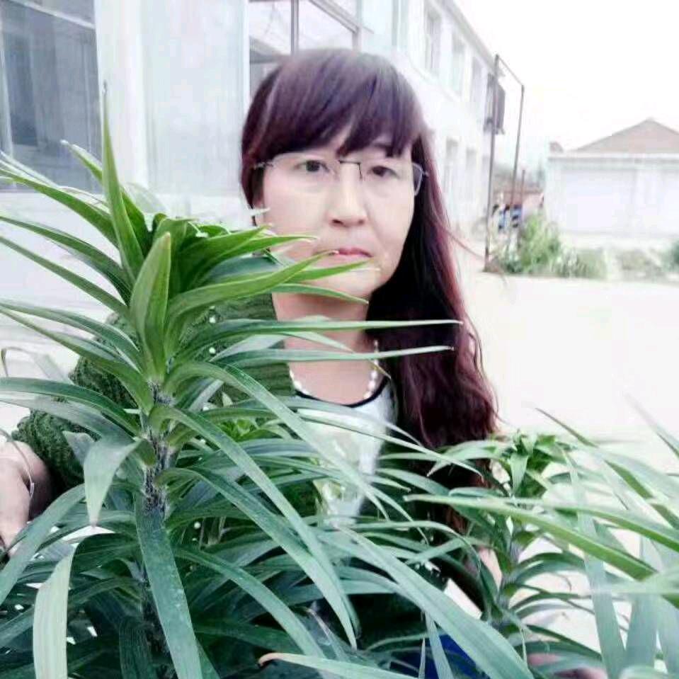 月亮花