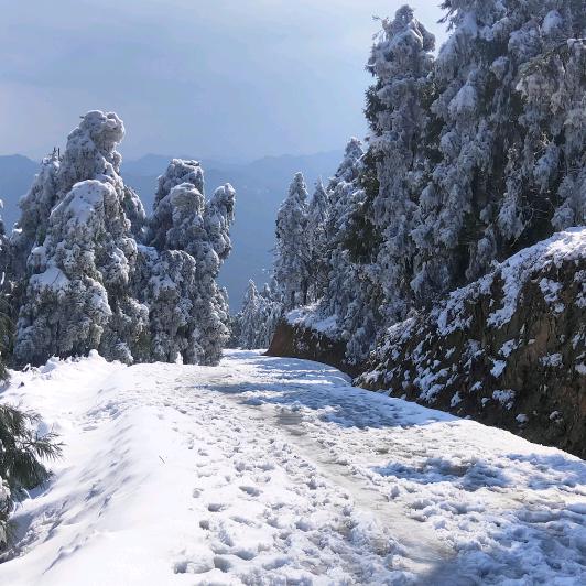 这么近那么滴远