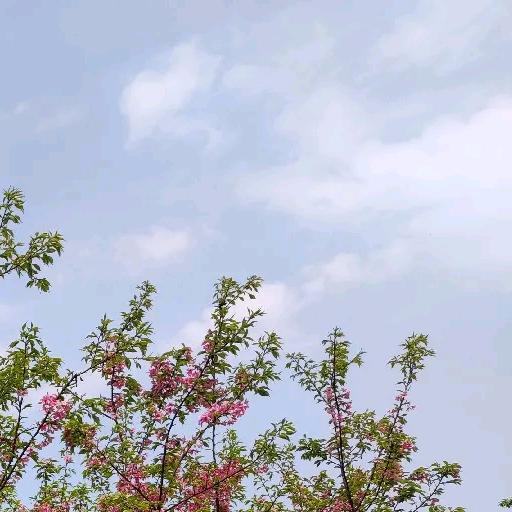 🦂🦂福鑫石材数控雕刻🦂🦂