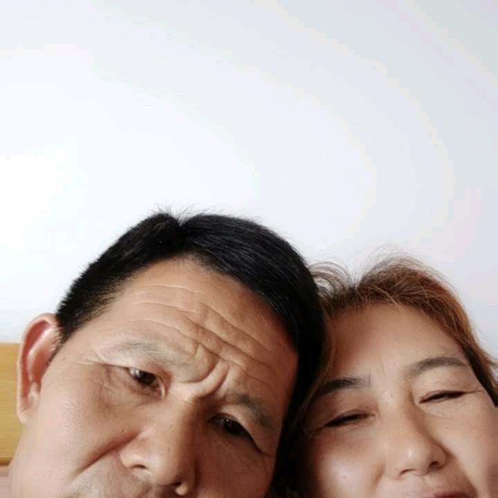 树哥