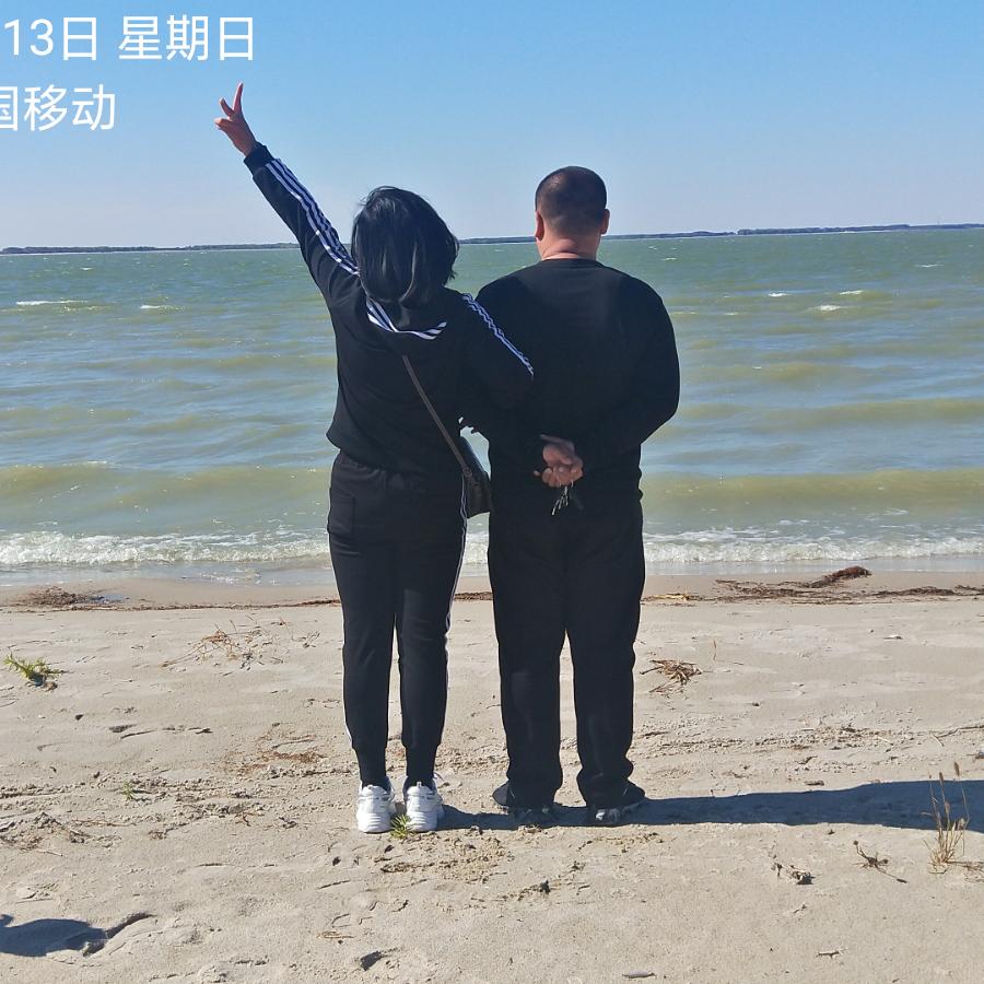 完美琴声一金花