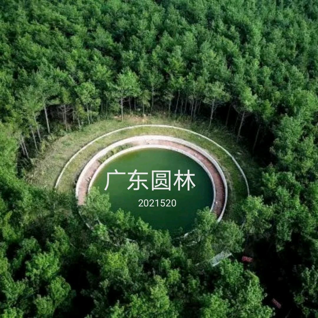 广东圆林