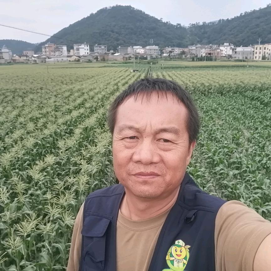 植保罗老师（作丰客）