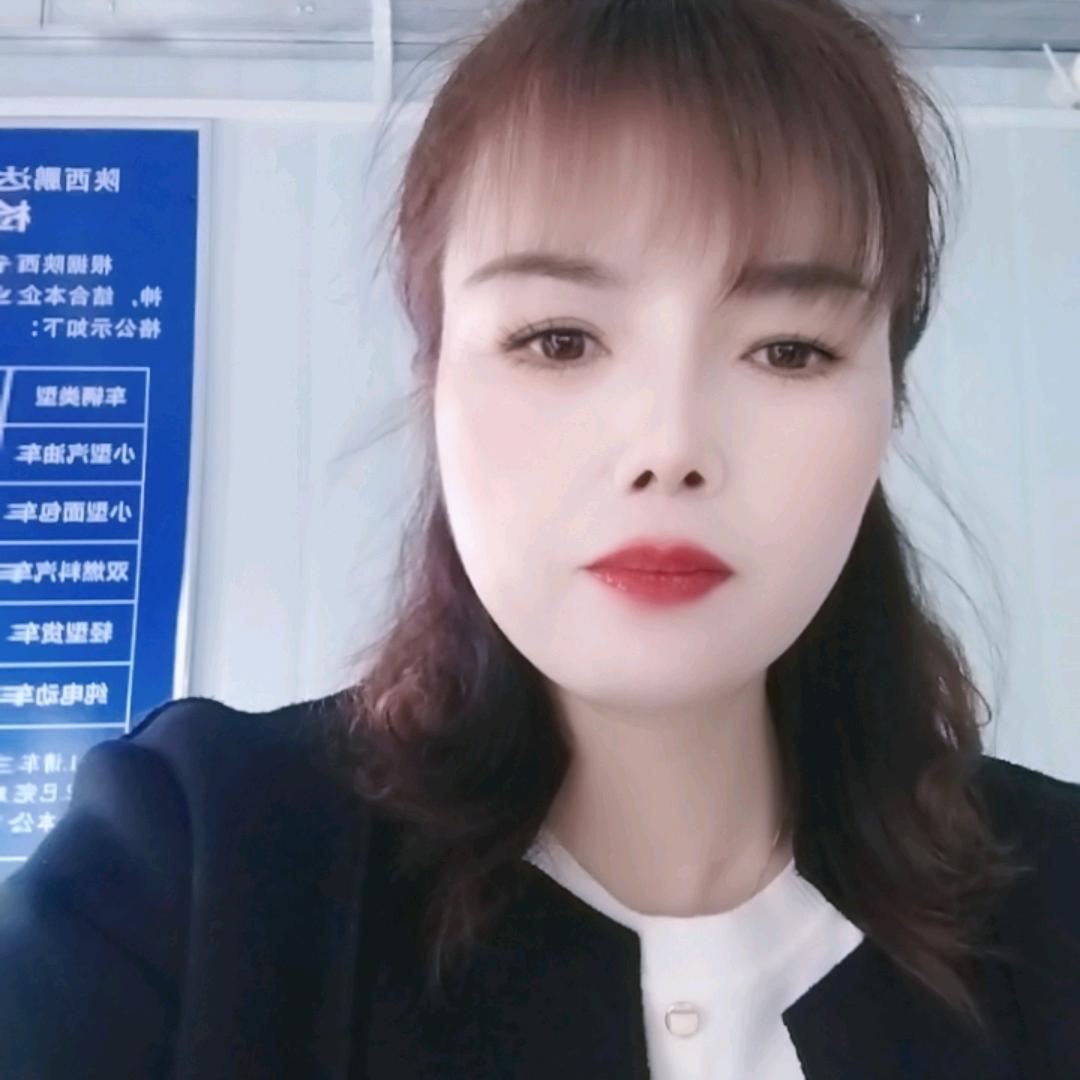 引镇(陕西鹏达机动车检测)娟娟