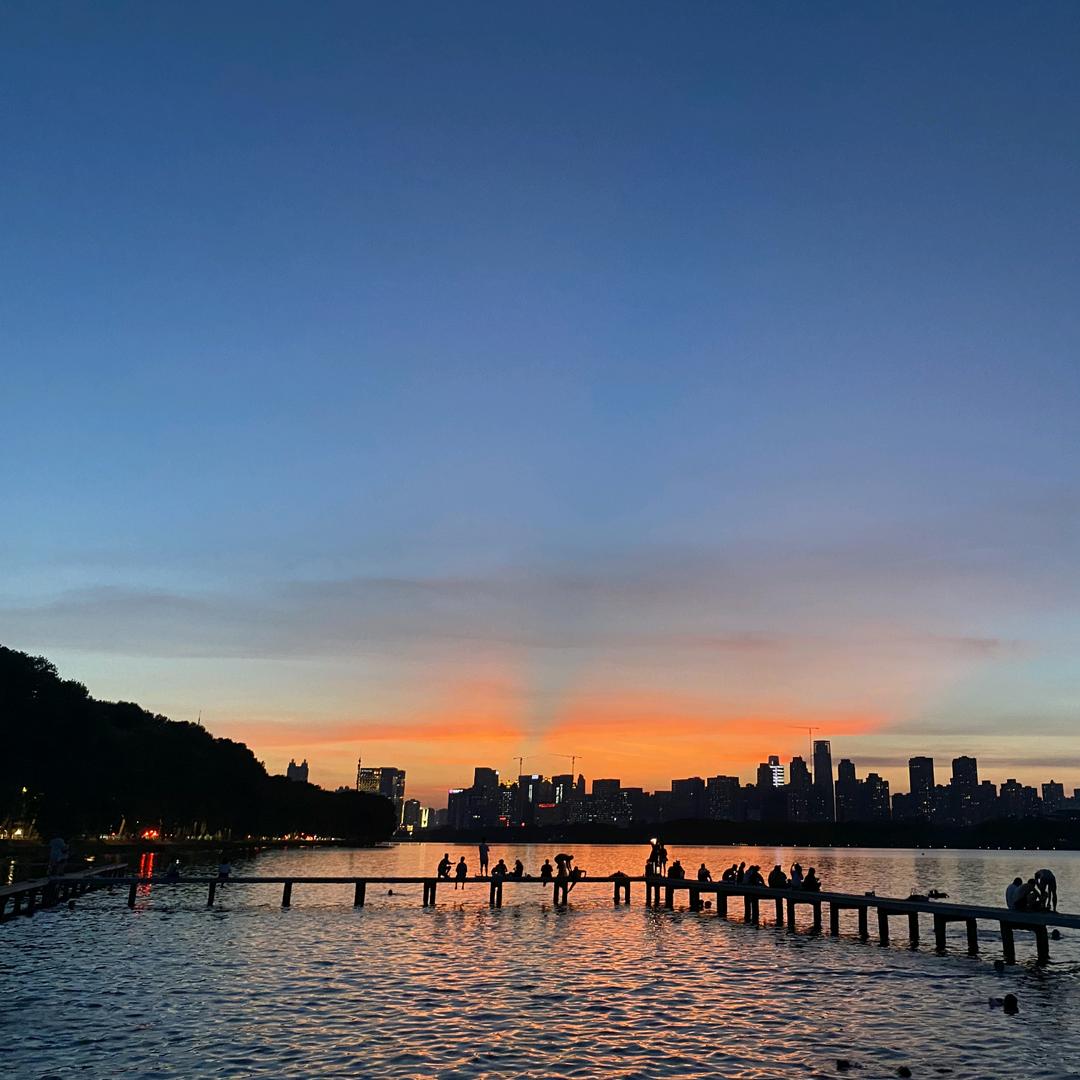 TacoTuesday 🇨🇳