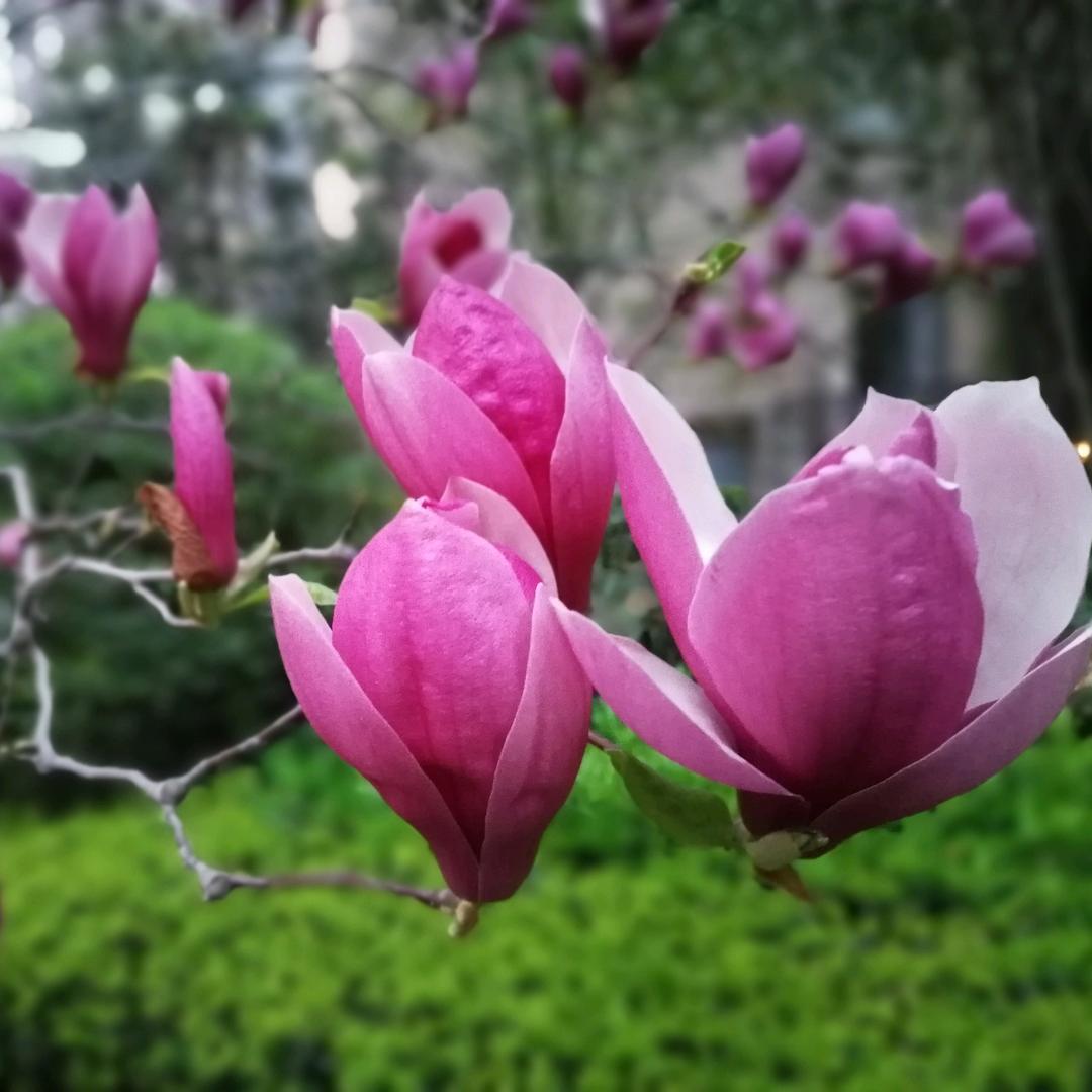 水晶粉
