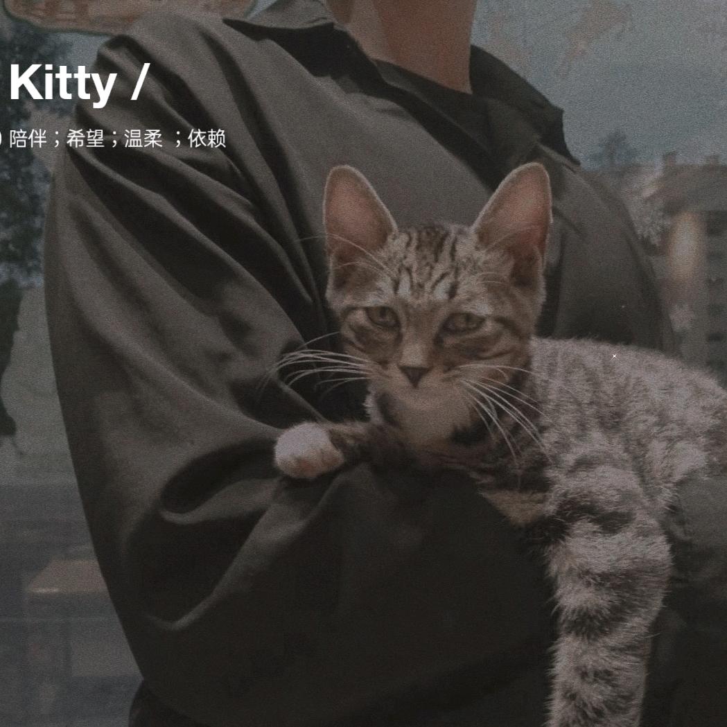 嘟嘟娱乐阿仲老师