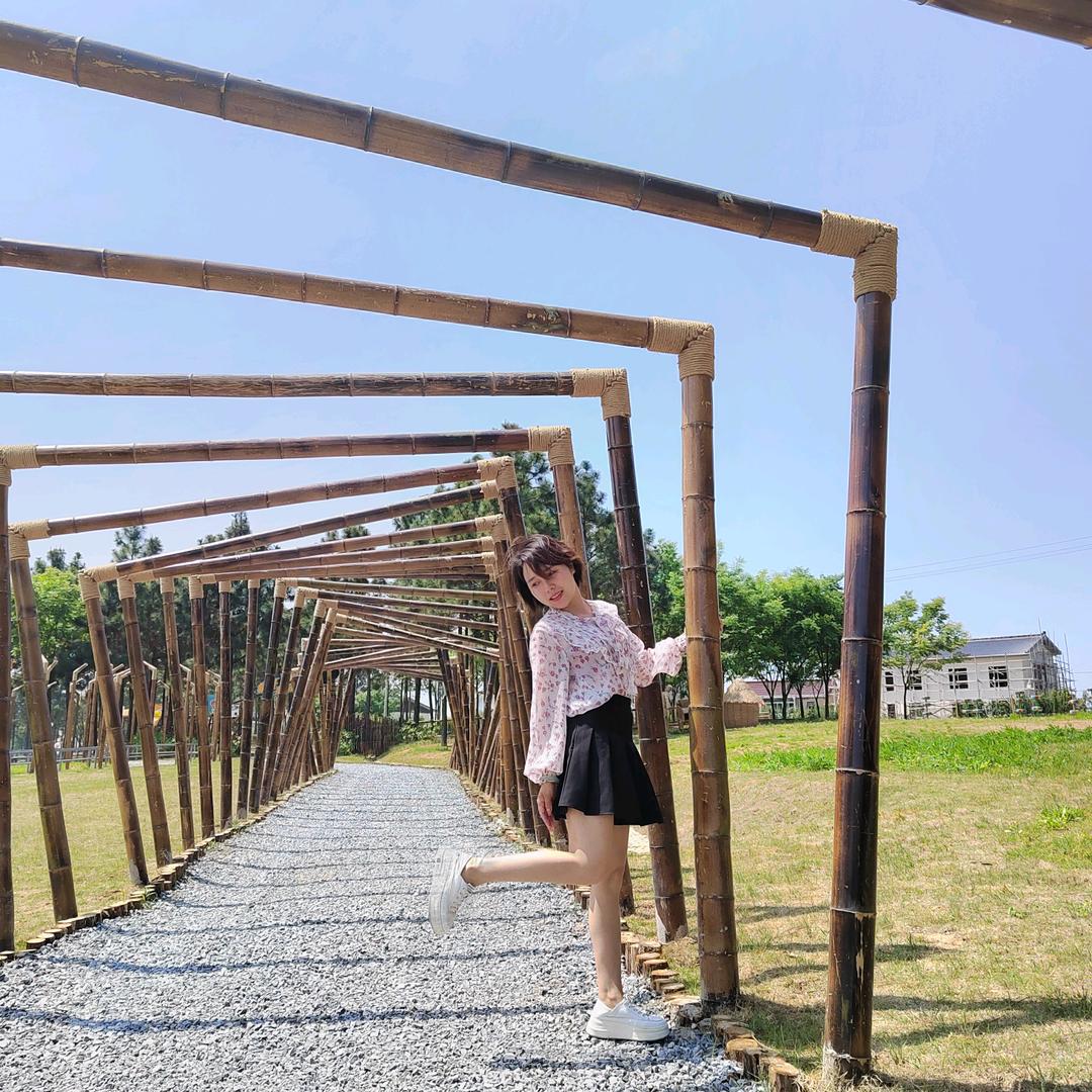 杨梅！忆.寻梦