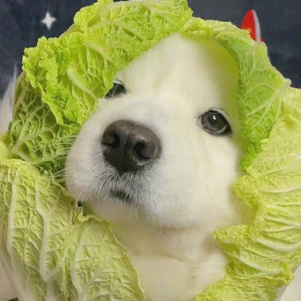 辉辉辉辉辉