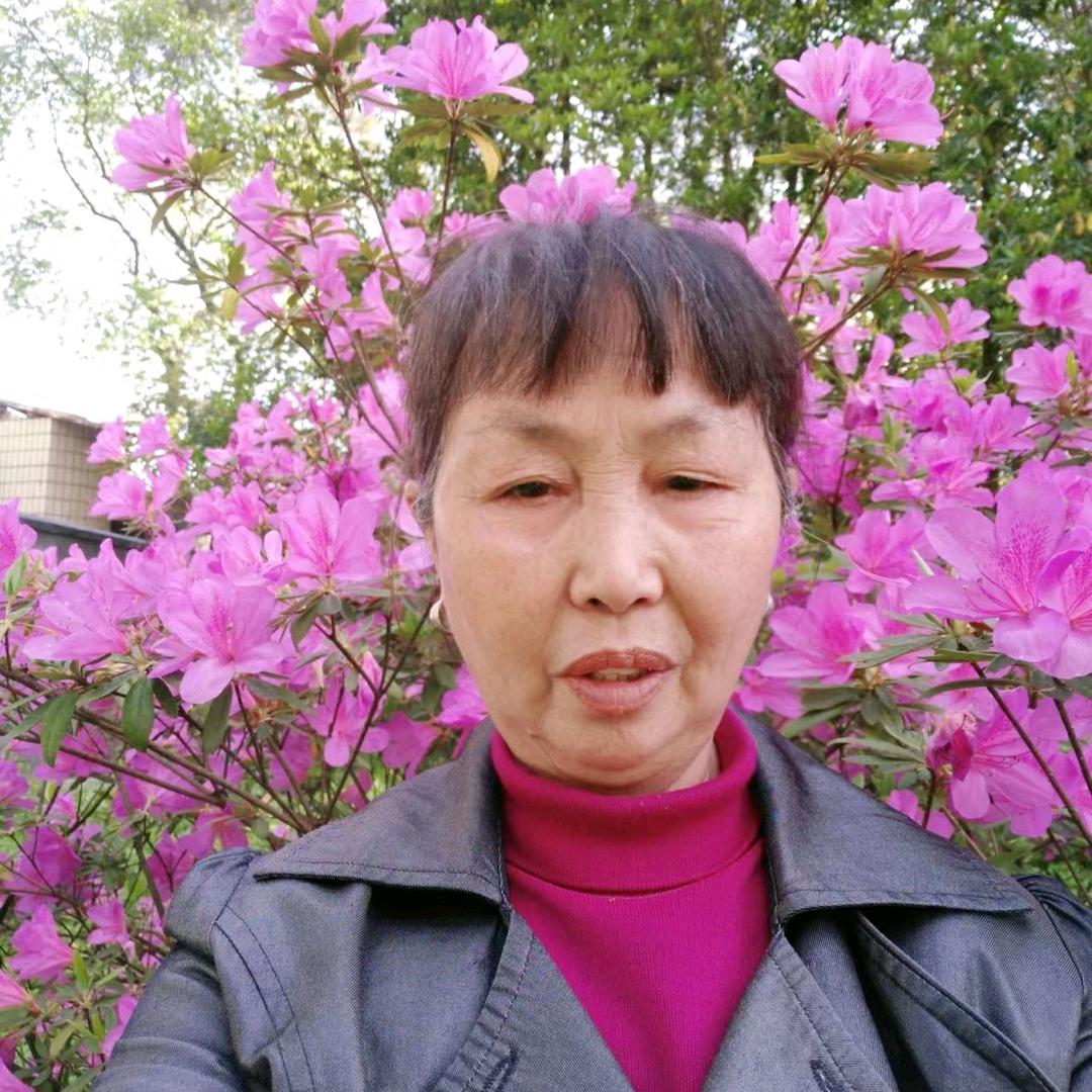 陈琴