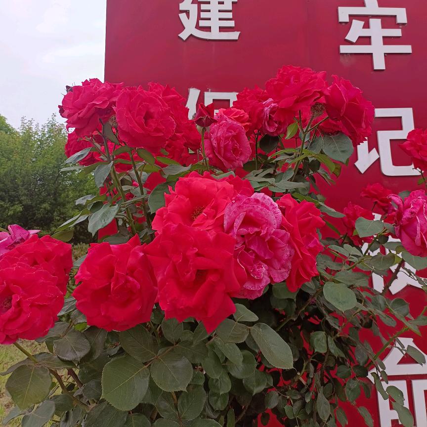 爱是你我