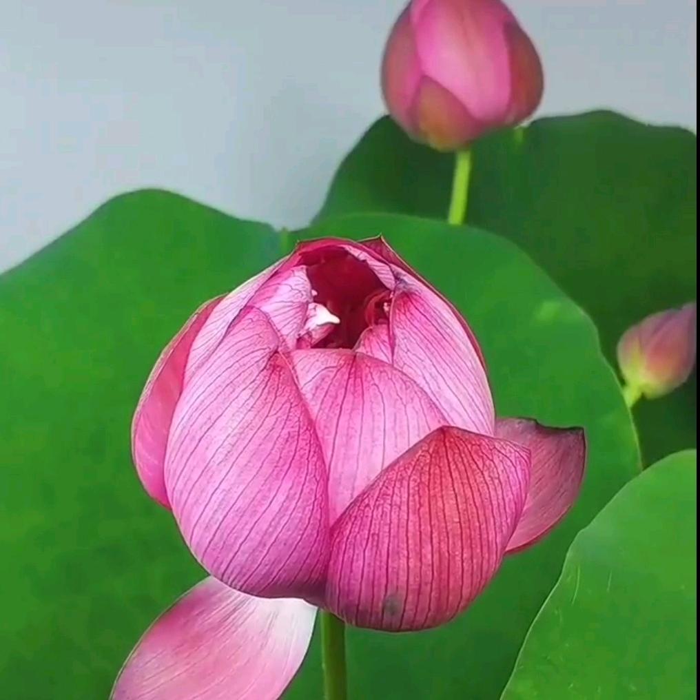 归途清浅