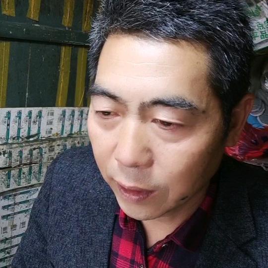 杨少华