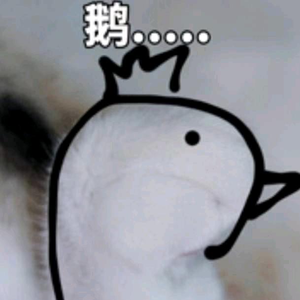 昭弟狮头鹅