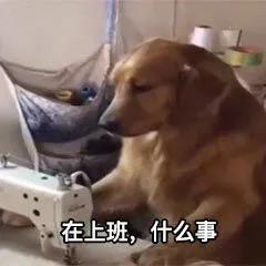 刘老师