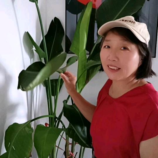 程大姐   （百货好物9.10分）