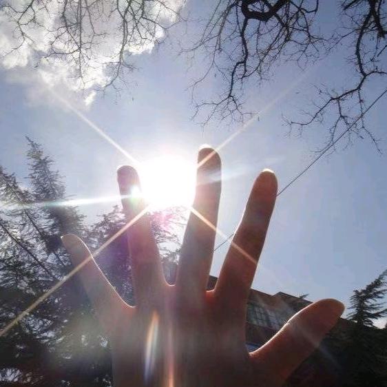 朝北的星星✨