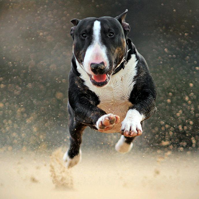 一如既往的持续