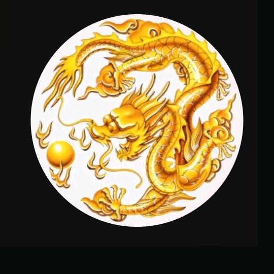 🐲龙缘天下🐲