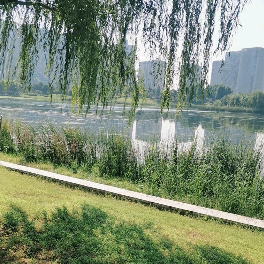 雨过天晴见彩虹