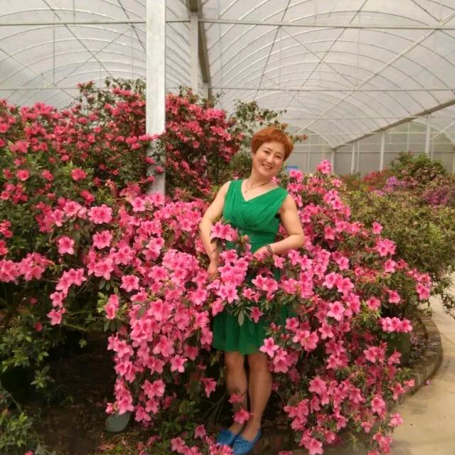 风的季节陈海玉