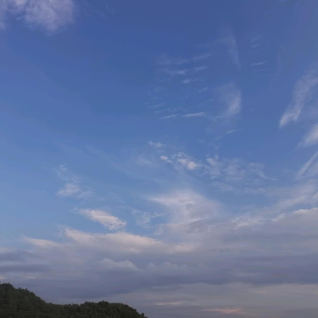 阿灿要努力