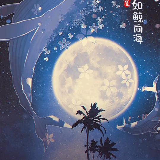 岁月如梭    人生如月