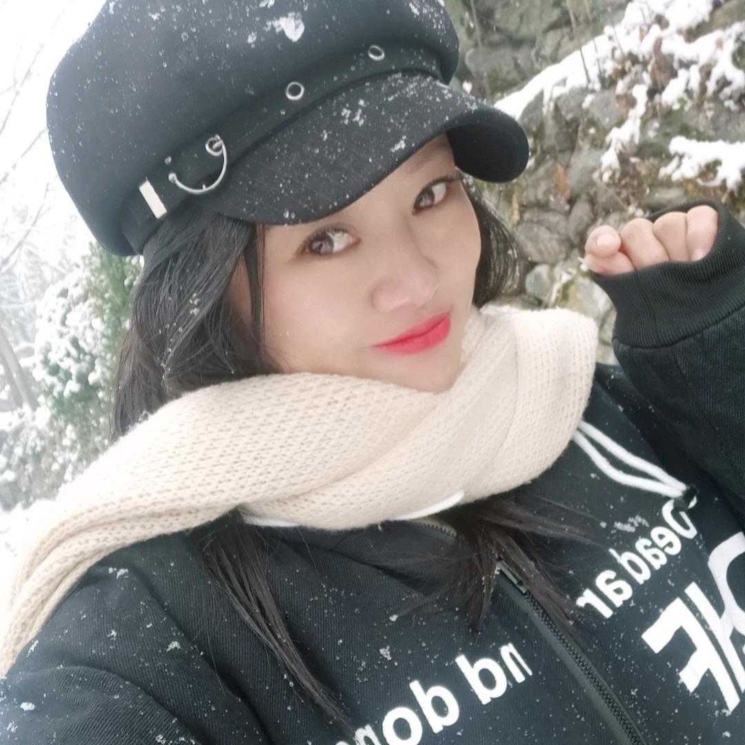 一枝梅🌸🌸🐭